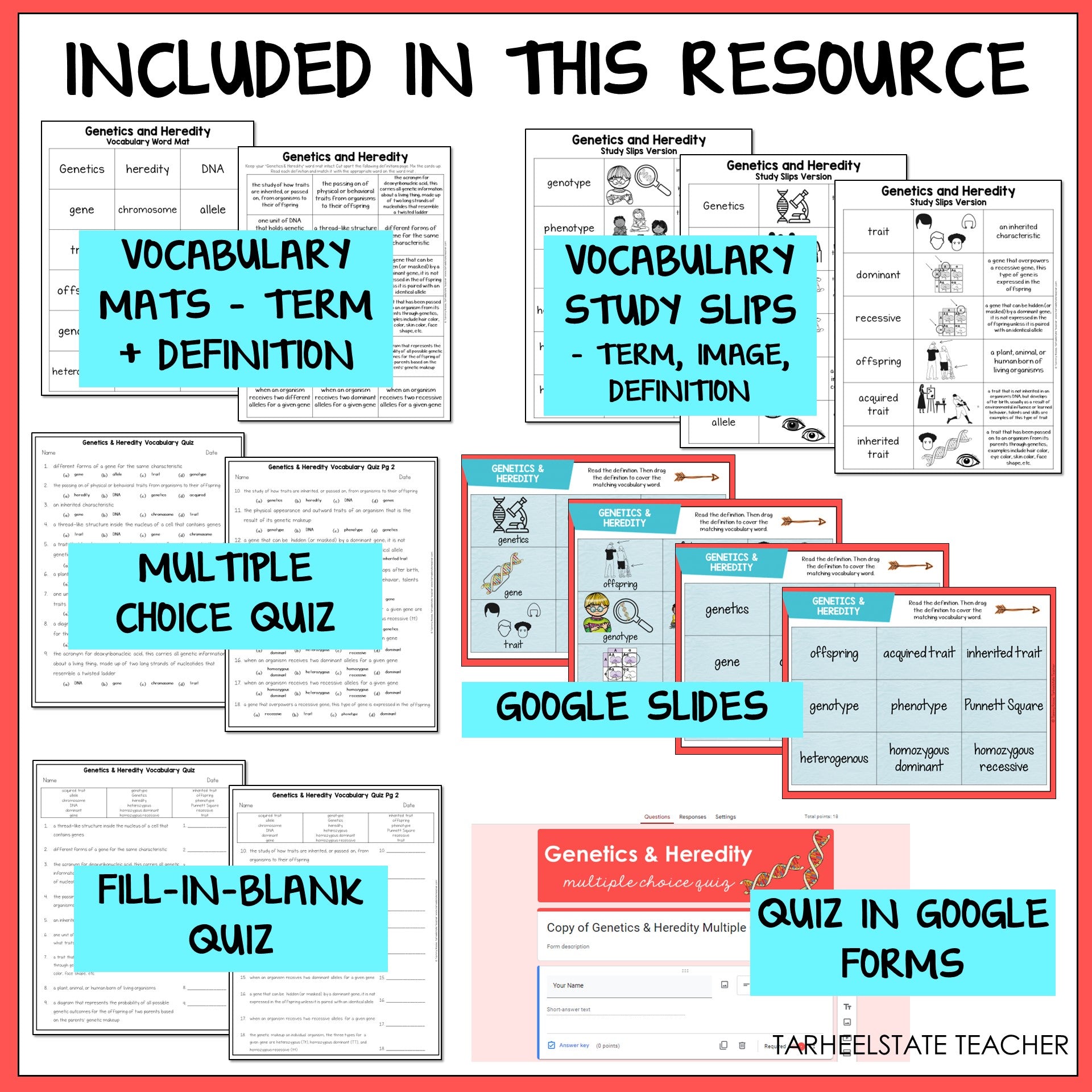 Educational resources including vocabulary mats, study slips, multiple choice quiz, Google Slides, fill-in-blank quiz, and quiz in Google Forms 