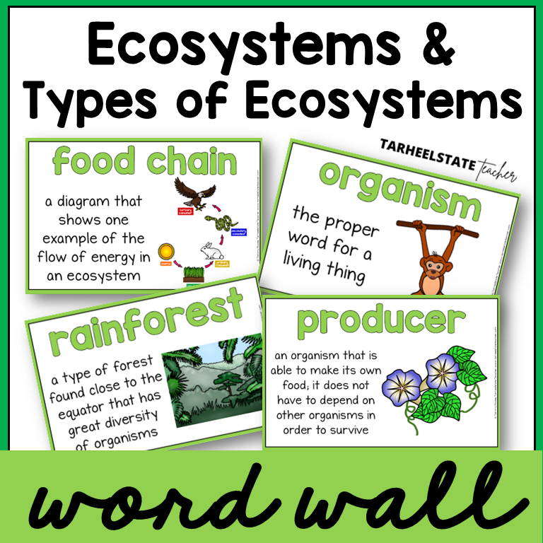 Educational posters about types of ecosystems with definitions and illustrations for science word wall or bulletin board