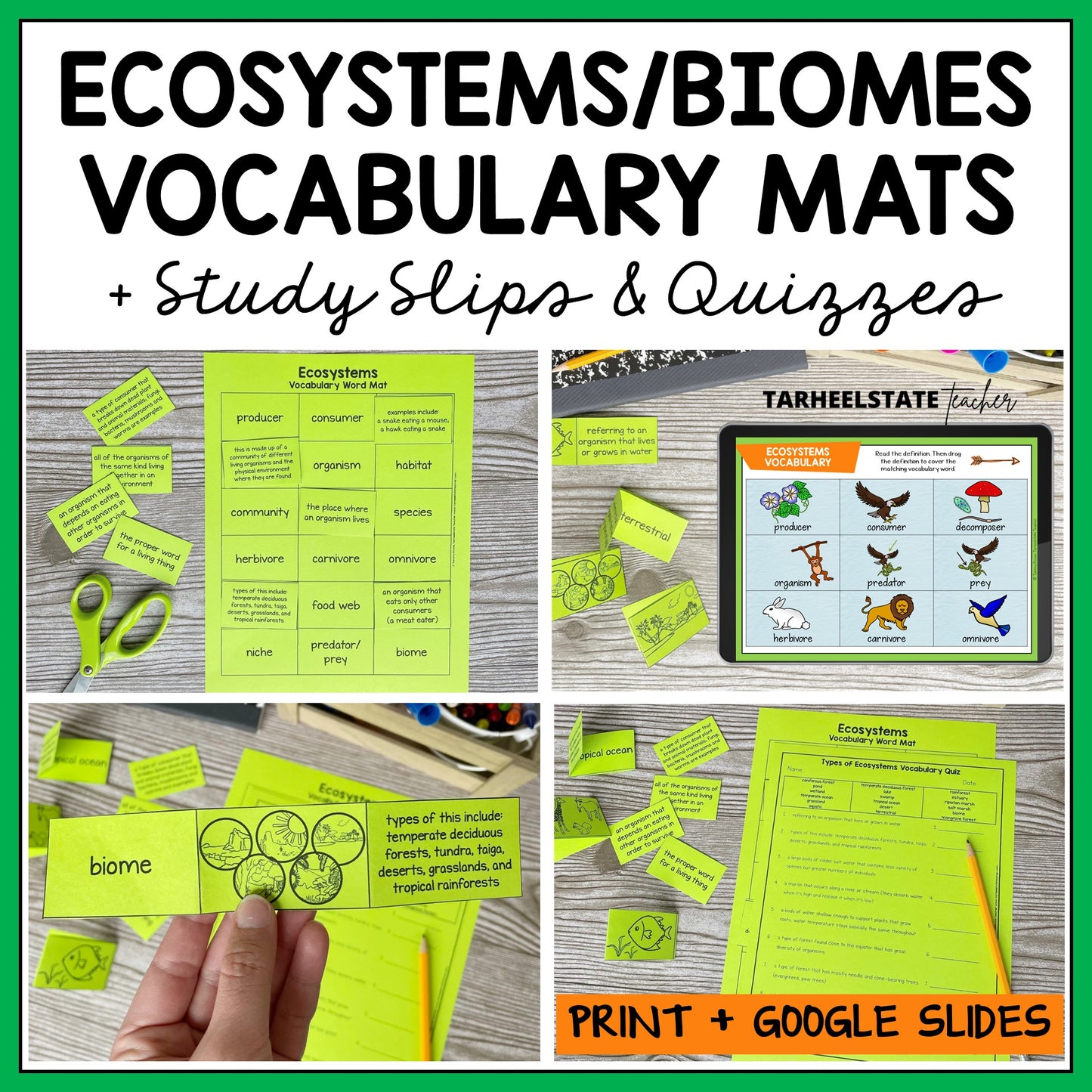 Educational materials for teaching ecosystems and biomes, including vocabulary mats, study slips, and quizzes.