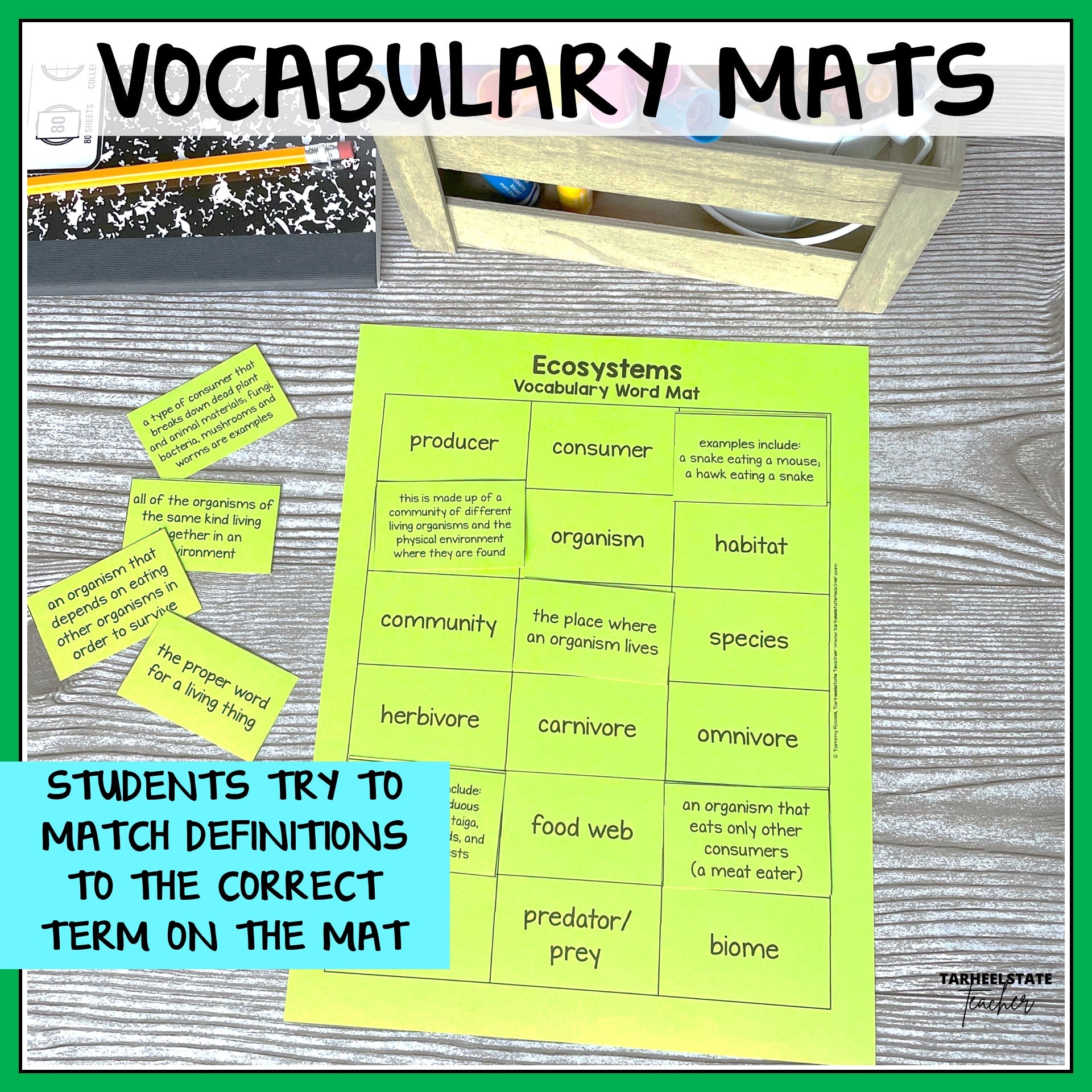 Vocabulary mat for ecosystems with definitions and terms