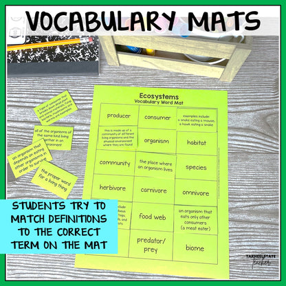 Vocabulary mat for ecosystems with definitions and terms