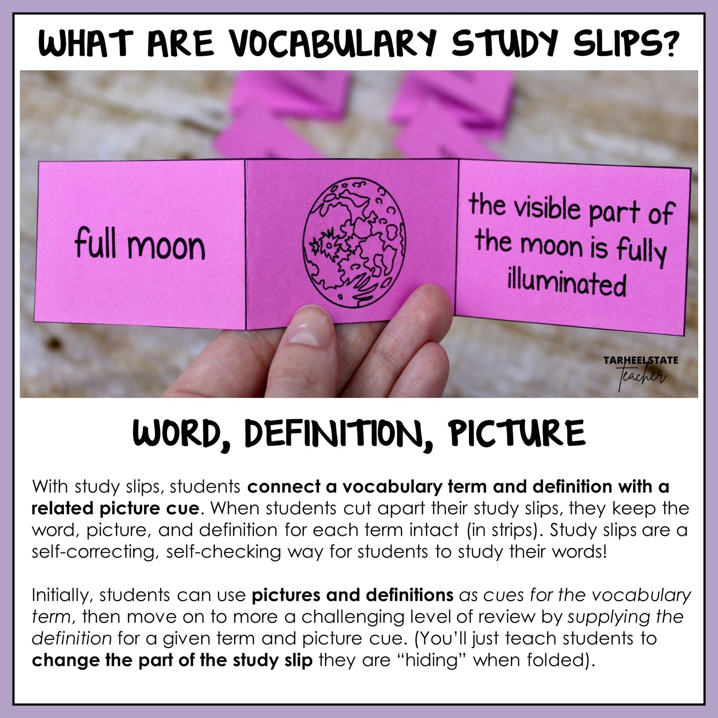 Vocabulary study slips with science term, definition, and picture