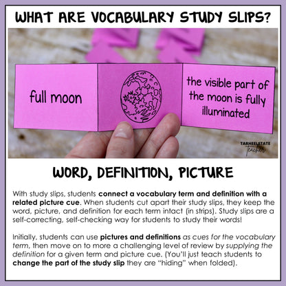 Vocabulary study slips with science term, definition, and picture