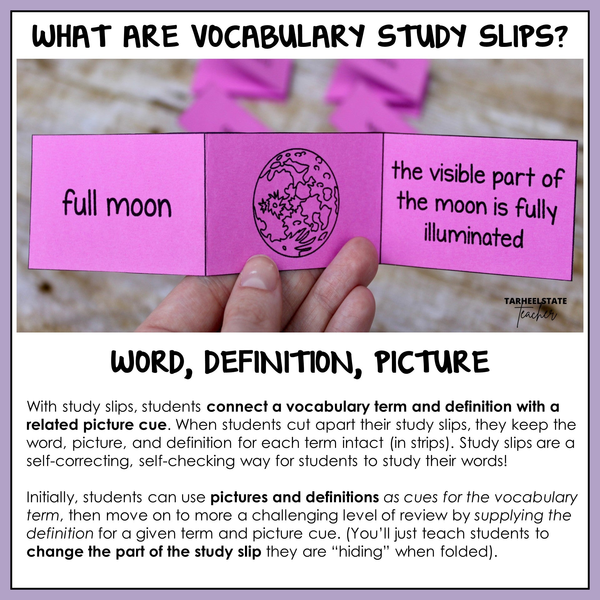 Vocabulary study slips with science term, definition, and picture