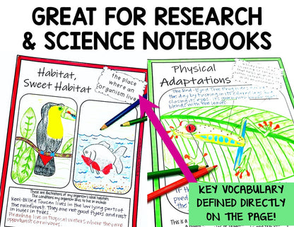Ecosystem and Biomes Project | Animal Research with Graphic Organizers