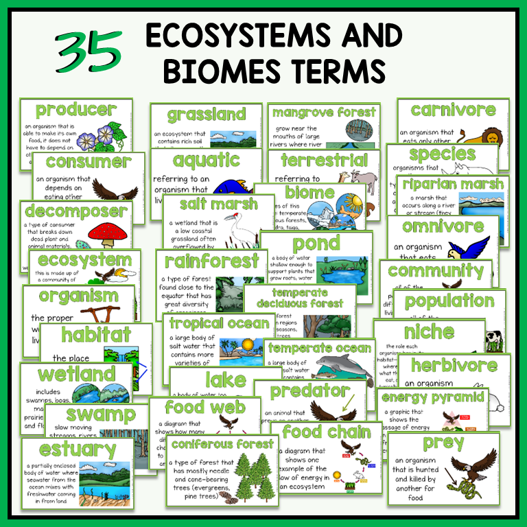 34 ecosystems and biomes terms with definitions and illustrations included for science word wall or bulletin board