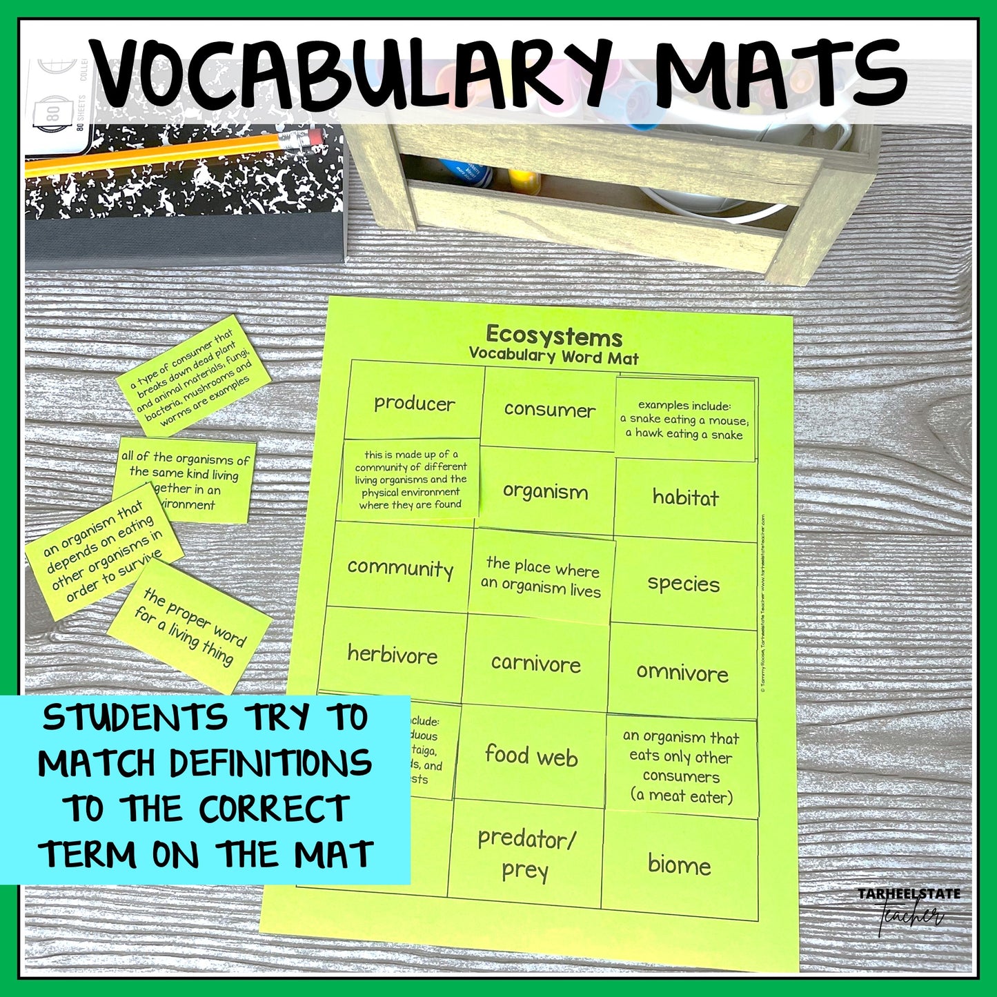 Vocabulary mat for ecosystems with definitions and terms