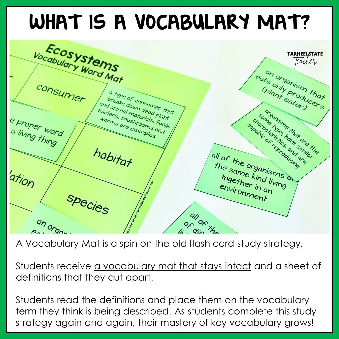 Vocabulary mat with flash cards for reviewing Ecosystems and Biomes vocabulary