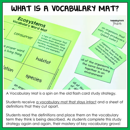 Vocabulary mat with flash cards for reviewing Ecosystems and Biomes vocabulary