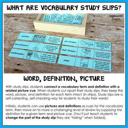 Vocabulary study slips with science term, definition, and picture