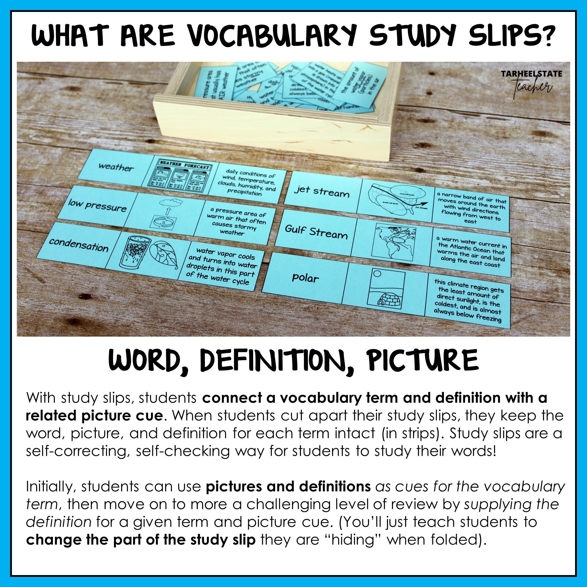 Vocabulary study slips with science term, definition, and picture