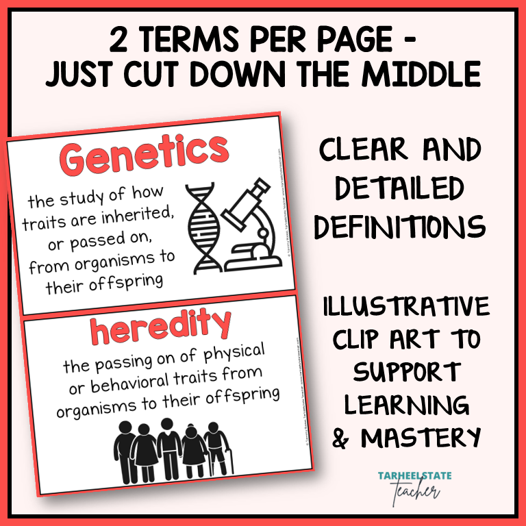 Genetics and Heredity vocabulary terms on anchor charts with illustrative clip art for science word wall or bulletin board