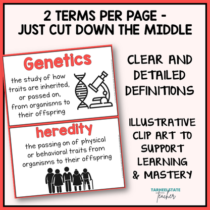 Genetics and Heredity vocabulary terms on anchor charts with illustrative clip art for science word wall or bulletin board