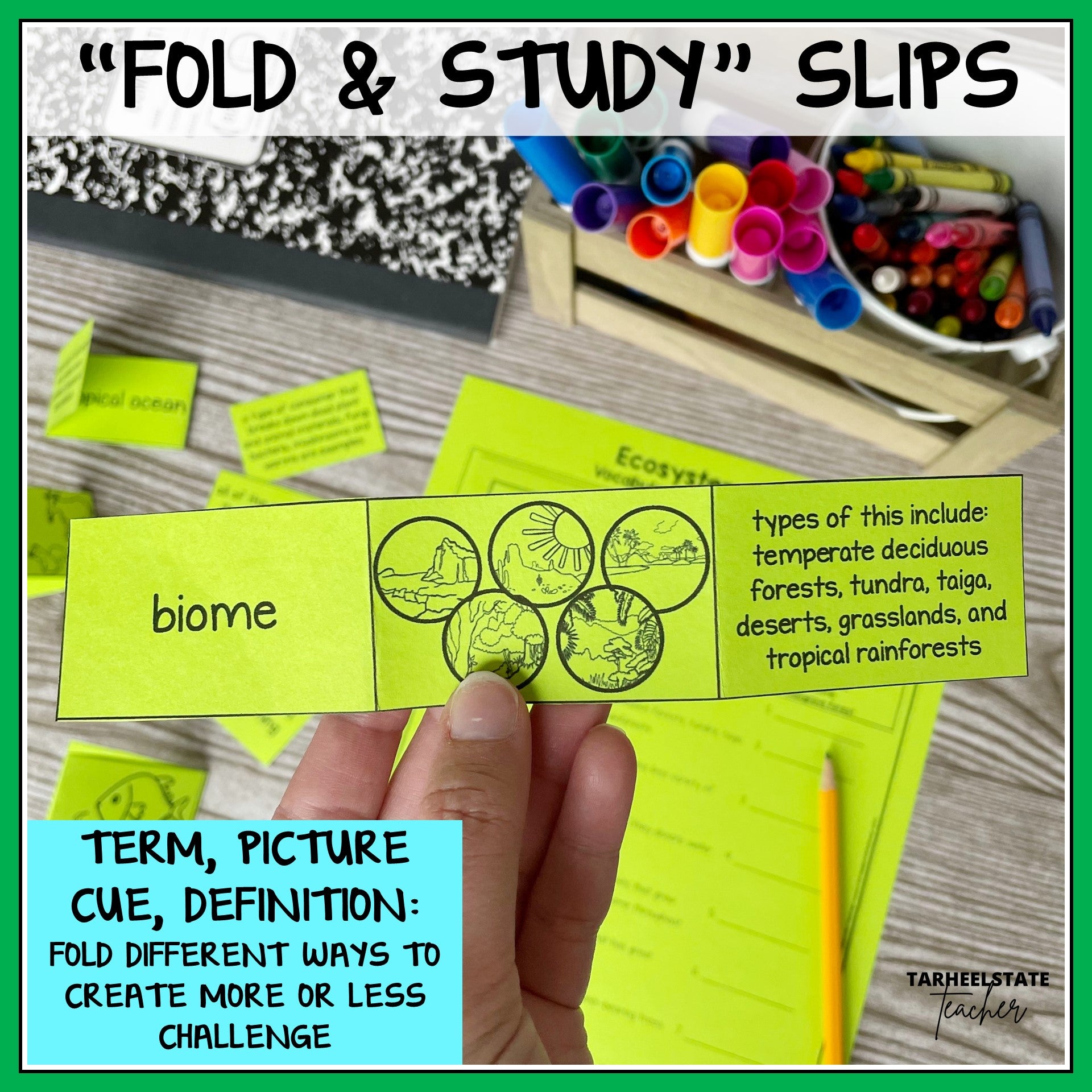 Educational 'Fold & Study' slips with diagrams, definitions, and terms