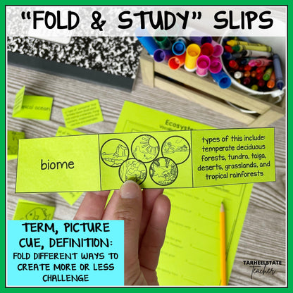Educational 'Fold & Study' slips with diagrams, definitions, and terms