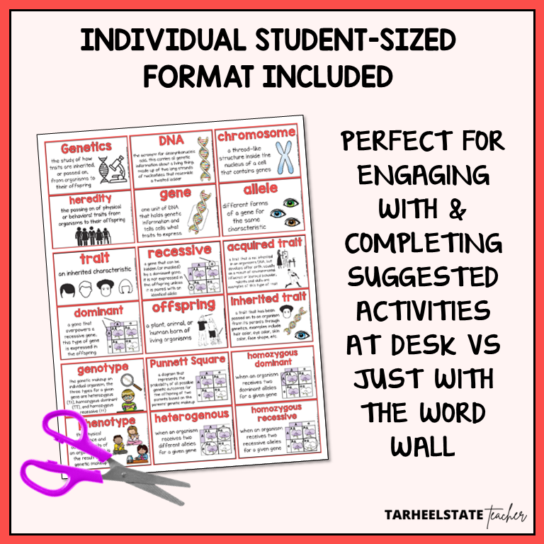 Genetics and Heredity vocabulary resource includes individual student-sized study and reference sheet to use with vocabulary activities