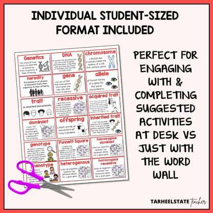 Genetics and Heredity vocabulary resource includes individual student-sized study and reference sheet to use with vocabulary activities