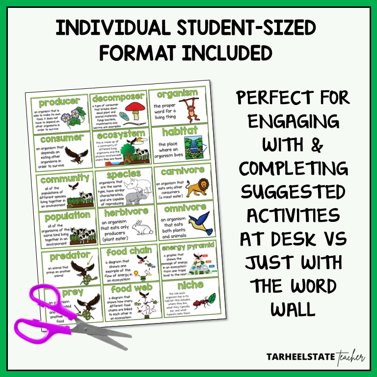 Ecosystems and Biomes resource includes individual student-sized study and reference sheet to use with vocabulary activities