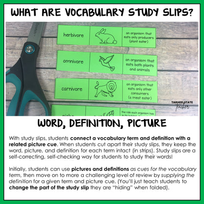 Vocabulary study slips with science term, definition, and picture