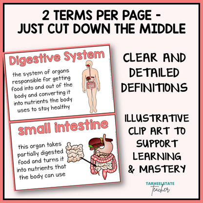Human Body Systems Vocabulary Activities and Word Wall Bundle