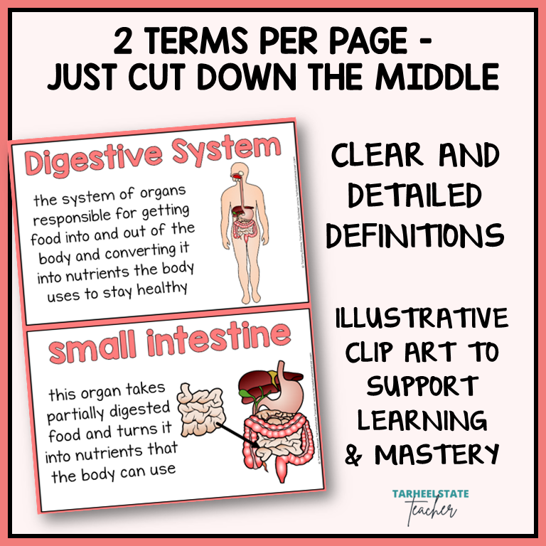 Digestive and Nervous System Vocabulary Mats, Study Slips, and Quizzes with Word Wall Bundle