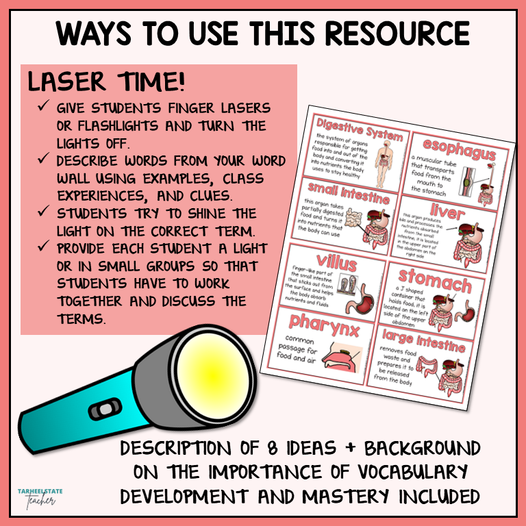 Digestive and Nervous System Vocabulary Mats, Study Slips, and Quizzes with Word Wall Bundle