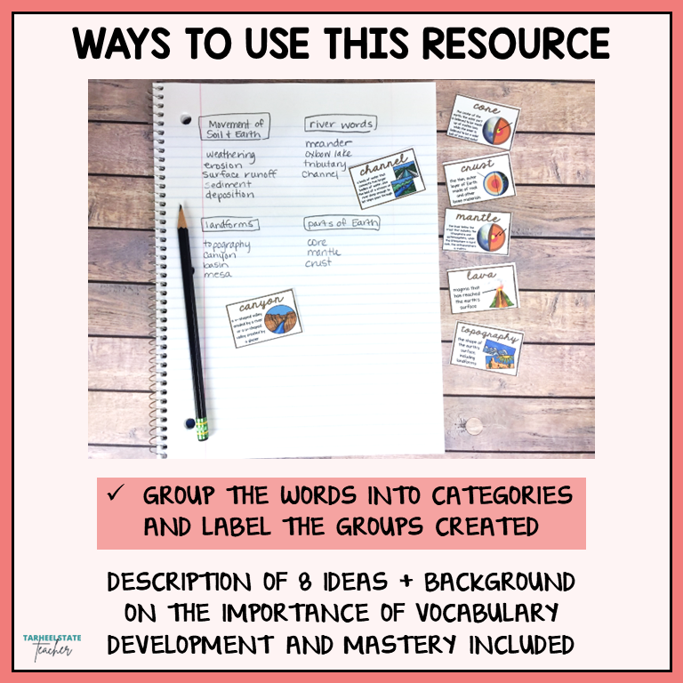 Digestive and Nervous System Vocabulary Mats, Study Slips, and Quizzes with Word Wall Bundle