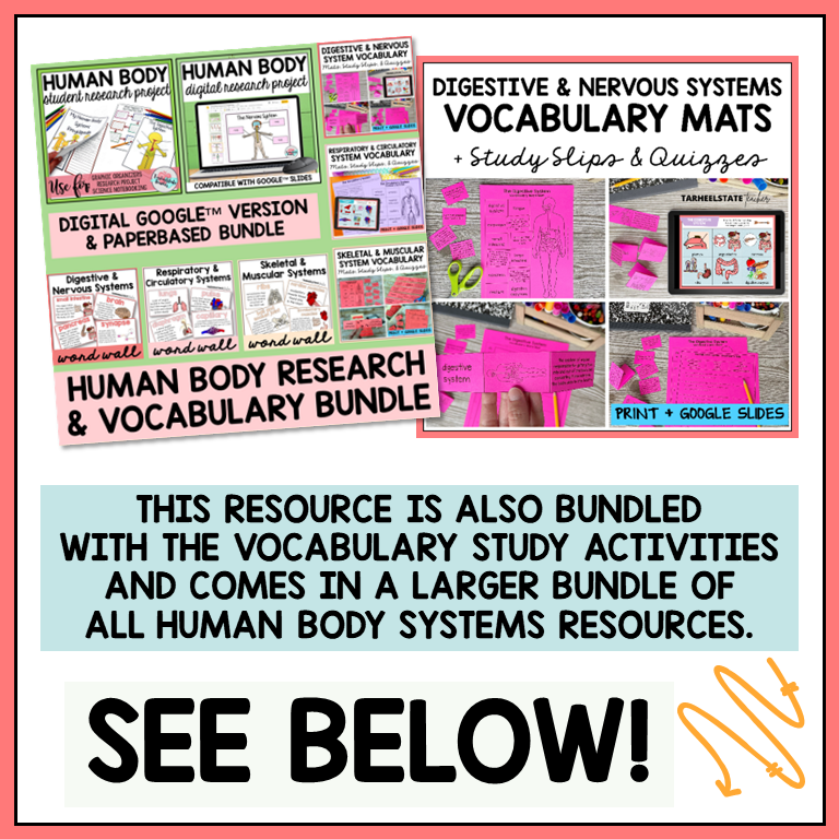 Digestive and Nervous System Vocabulary Mats, Study Slips, and Quizzes with Word Wall Bundle