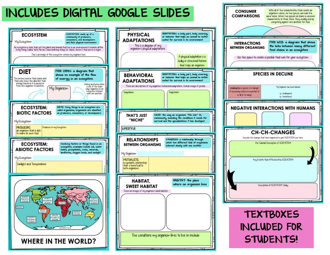 Ecosystem and Biomes Project | Animal Research with Graphic Organizers