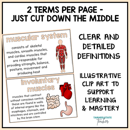 Skeletal and Muscular System Vocabulary Mats, Study Slips, and Quizzes with Word Wall Bundle