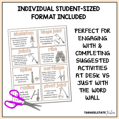 Science word wall activities for independent work