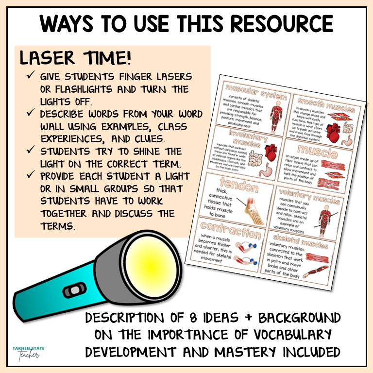Ideas for variety of ways to use Skeletal System and Muscular System vocabulary pdf resource