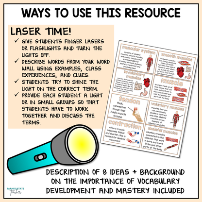Ideas for variety of ways to use Skeletal System and Muscular System vocabulary pdf resource
