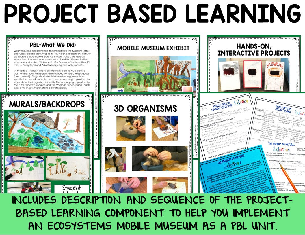 Ecosystem and Biomes Project | Animal Research with Graphic Organizers