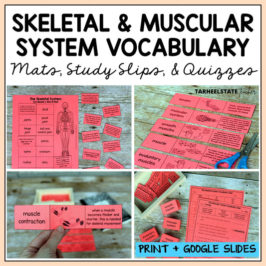 Skeletal and muscular system vocabulary pdf science vocabulary resource