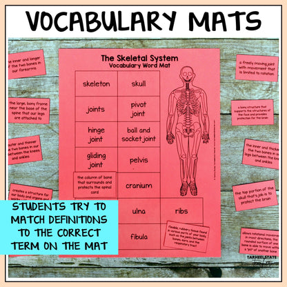 Vocabulary mat for the skeletal system with definitions and terms for student vocabulary practice or test prep