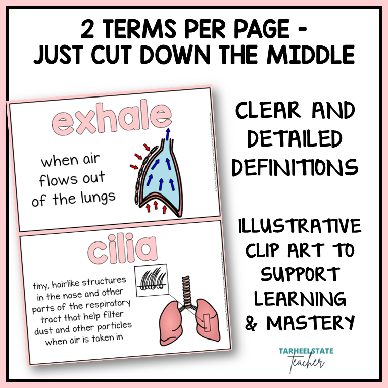 Educational flashcards with terms 'exhale' and 'cilia', definitions, and clip art