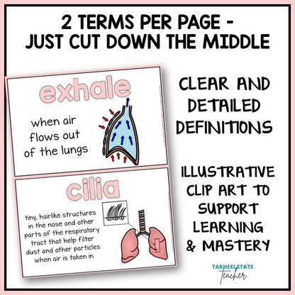 Educational flashcards with terms 'exhale' and 'cilia', definitions, and clip art