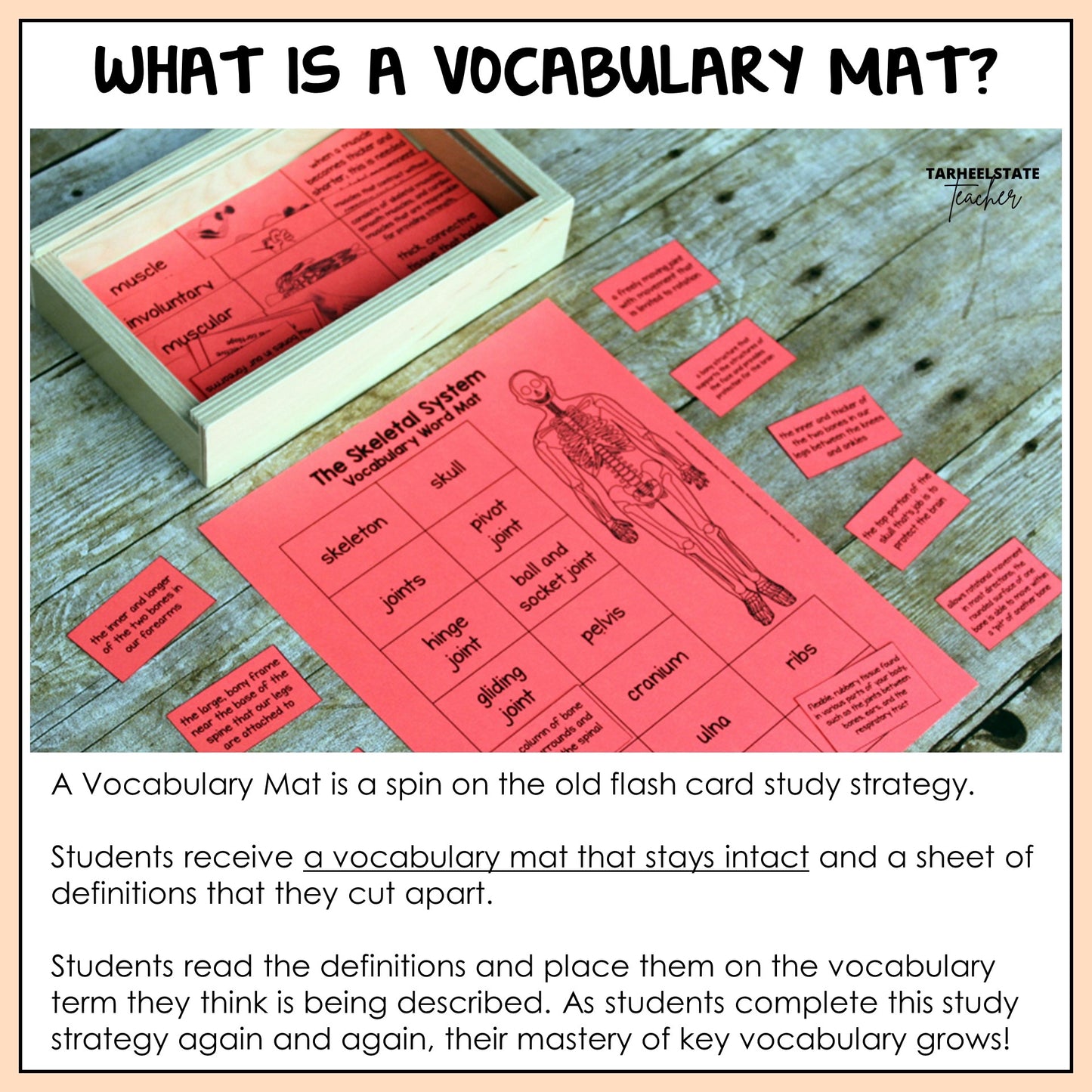 Explanation of how vocabulary mats work in the classroom