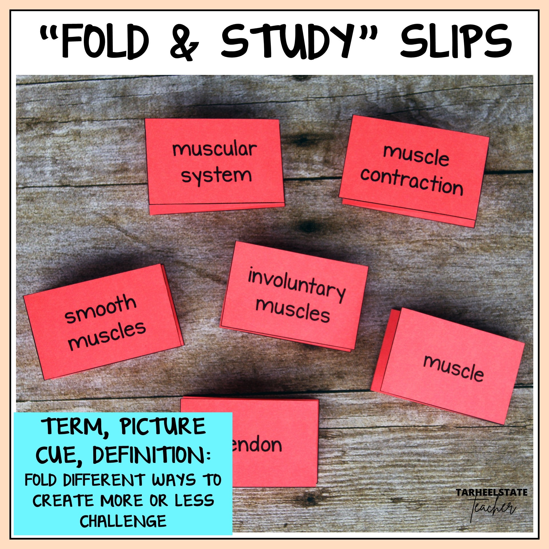 Foldable study slips including the vocabulary term, definition, and picture for each science topic