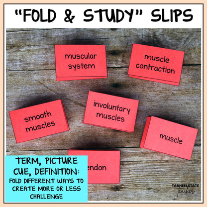 Foldable study slips including the vocabulary term, definition, and picture for each science topic