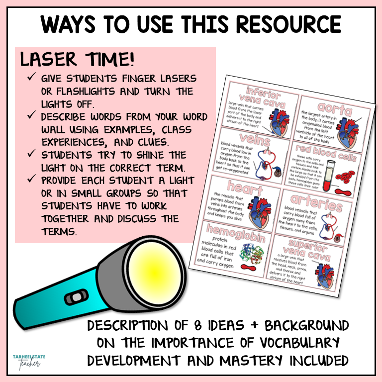 Ideas for incorporating respiratory and circulatory vocabulary