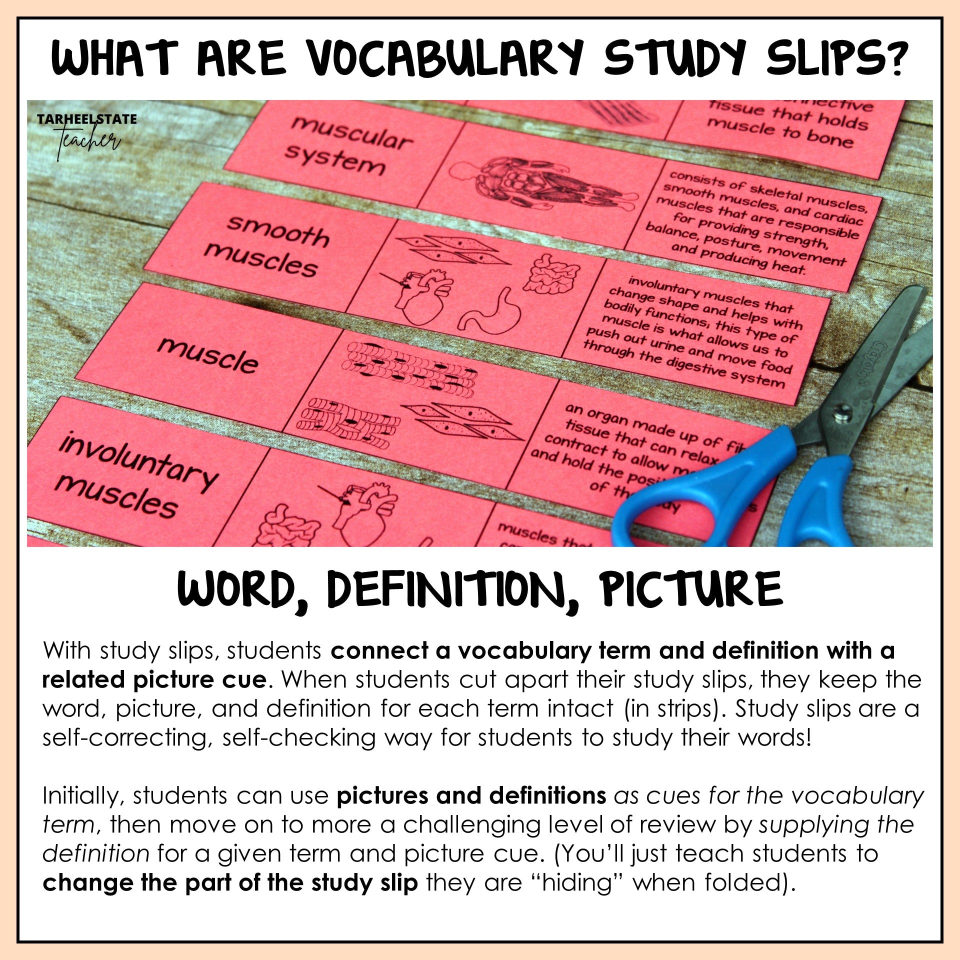 Explanation of how to use vocabulary study slips with students for science vocabulary practice or test prep