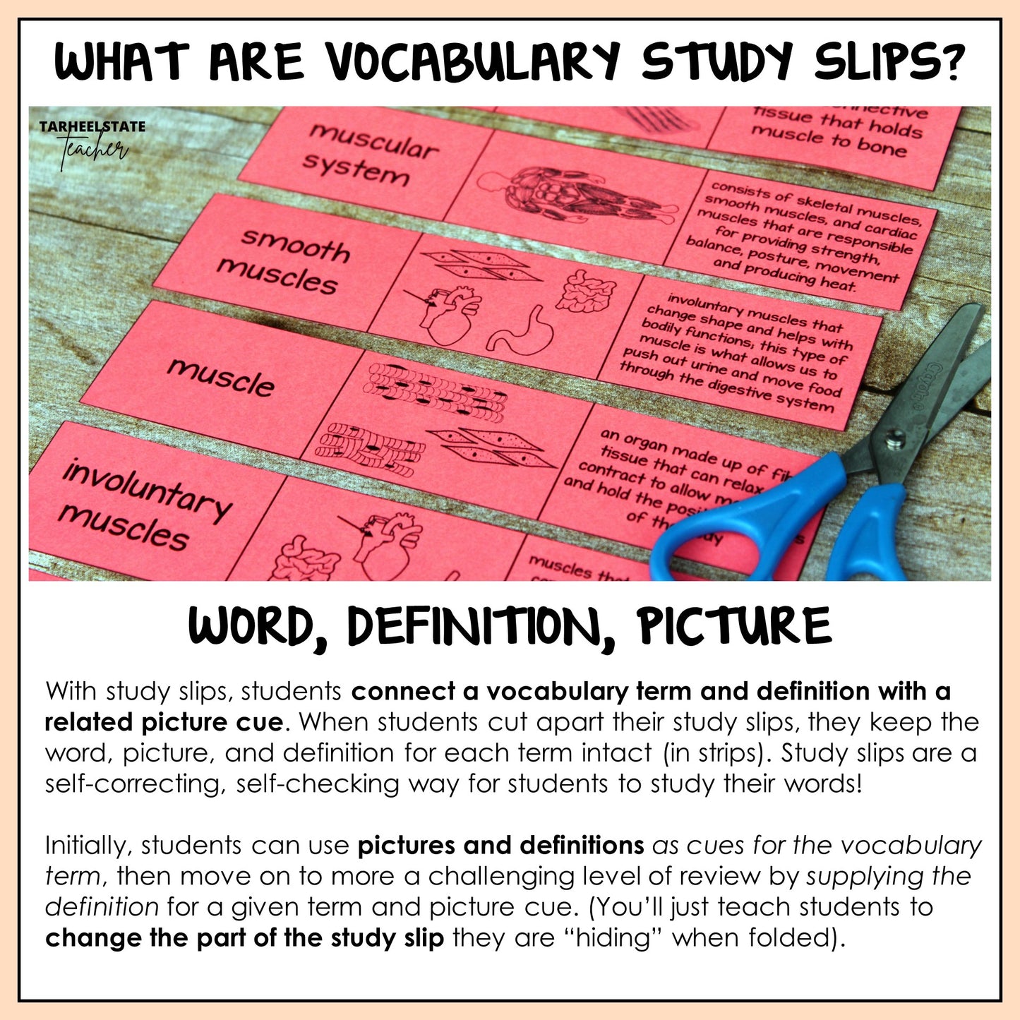 Explanation of vocabulary study slips and how to use them with students in the classroom