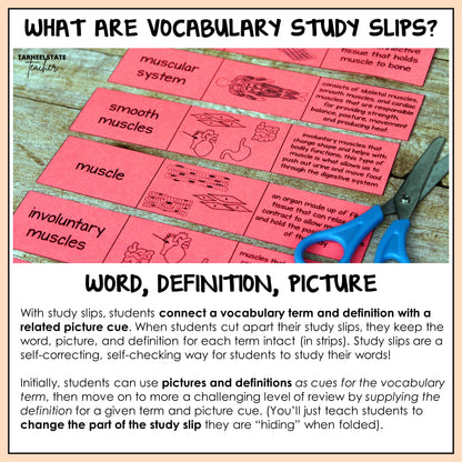 Explanation of vocabulary study slips and how to use them with students in the classroom