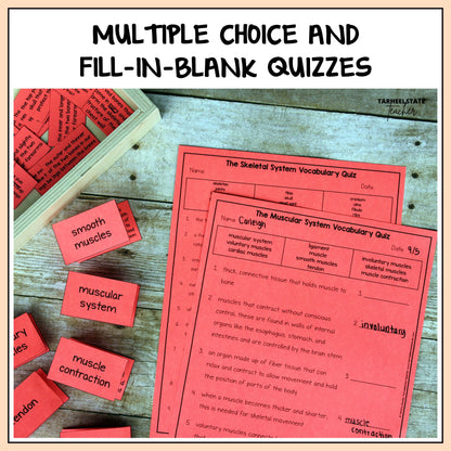 Skeletal and muscular system pdf resource includes multiple choice and fill-in-the-blank quizzes to assess student undertanding