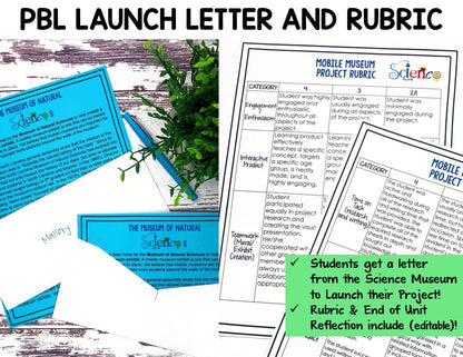 Ecosystem and Biomes Project | Animal Research with Graphic Organizers