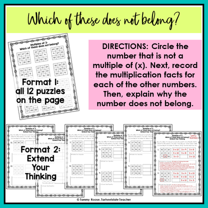 A preview of included activity titled 'Which of these does not belong?'