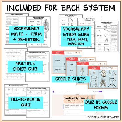 Educational materials for teaching the Skeletal System including vocabulary mats, study slips, multiple choice quiz, Google Slides, fill-in-blank quiz, and quiz in Google Forms.