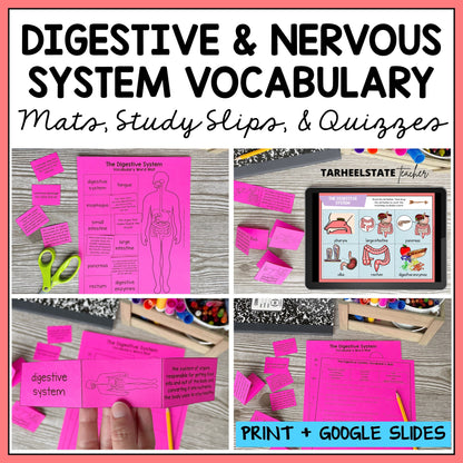Digestive and Nervous System Vocabulary Mats, Study Slips, and Quizzes with Word Wall Bundle